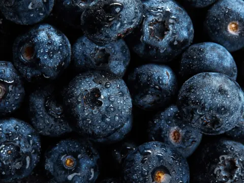 Adobe Stock 409242486 web 3